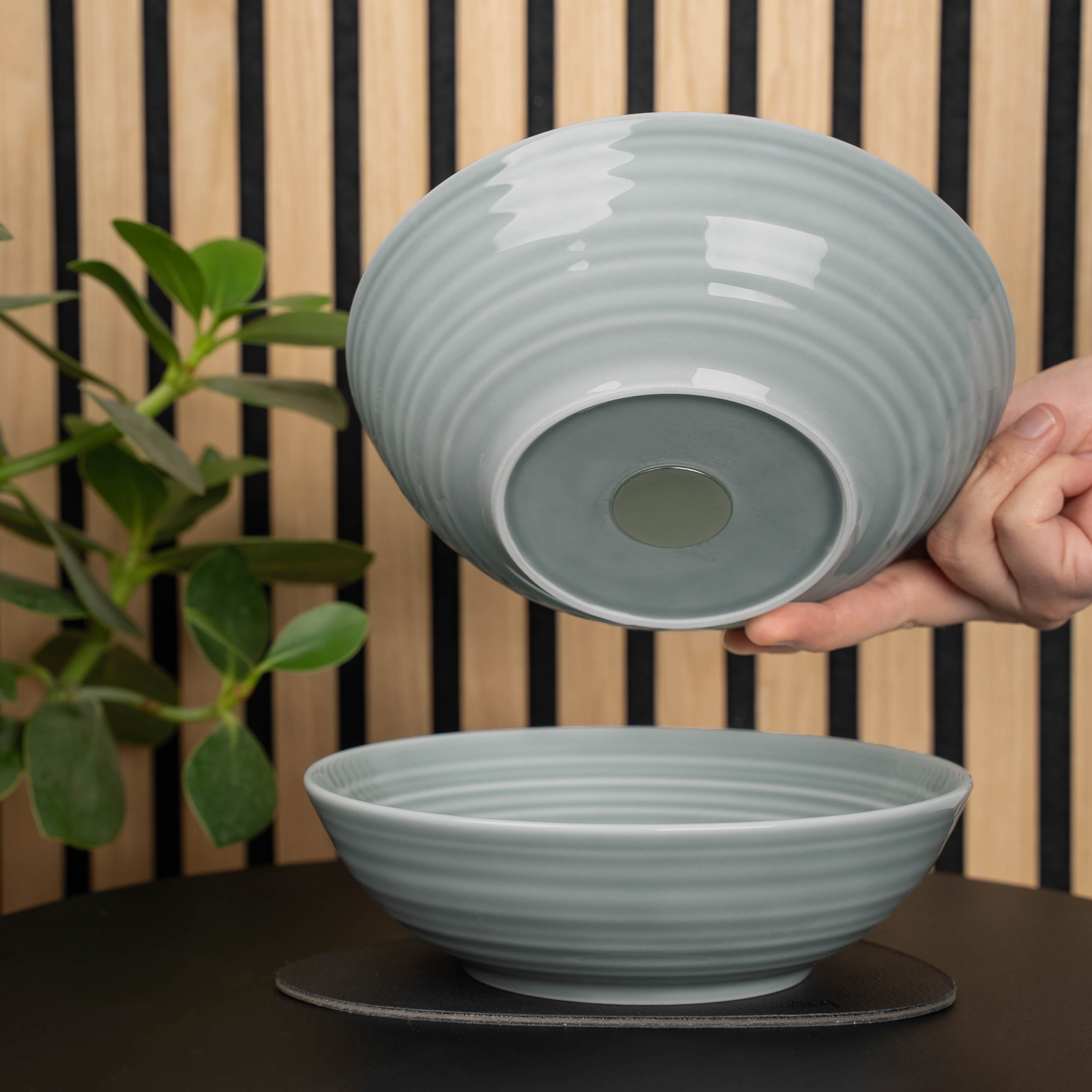 Bols alimentaires magnétiques en porcelaine ASH ⌀ 20 cm
