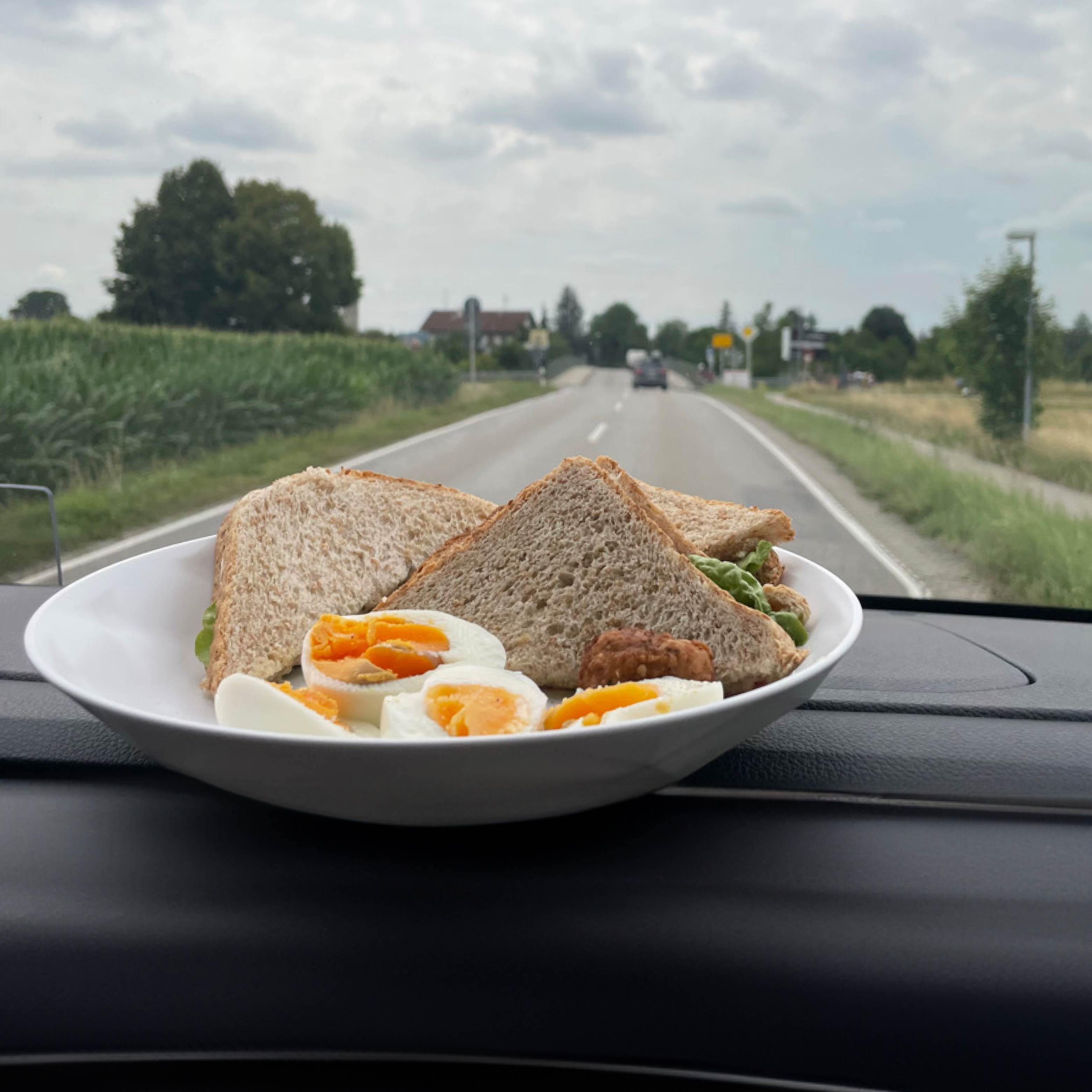 Magnet-Kunststoffteller auf Pad auf dem Armaturenbrett während der Fahrt fixiert