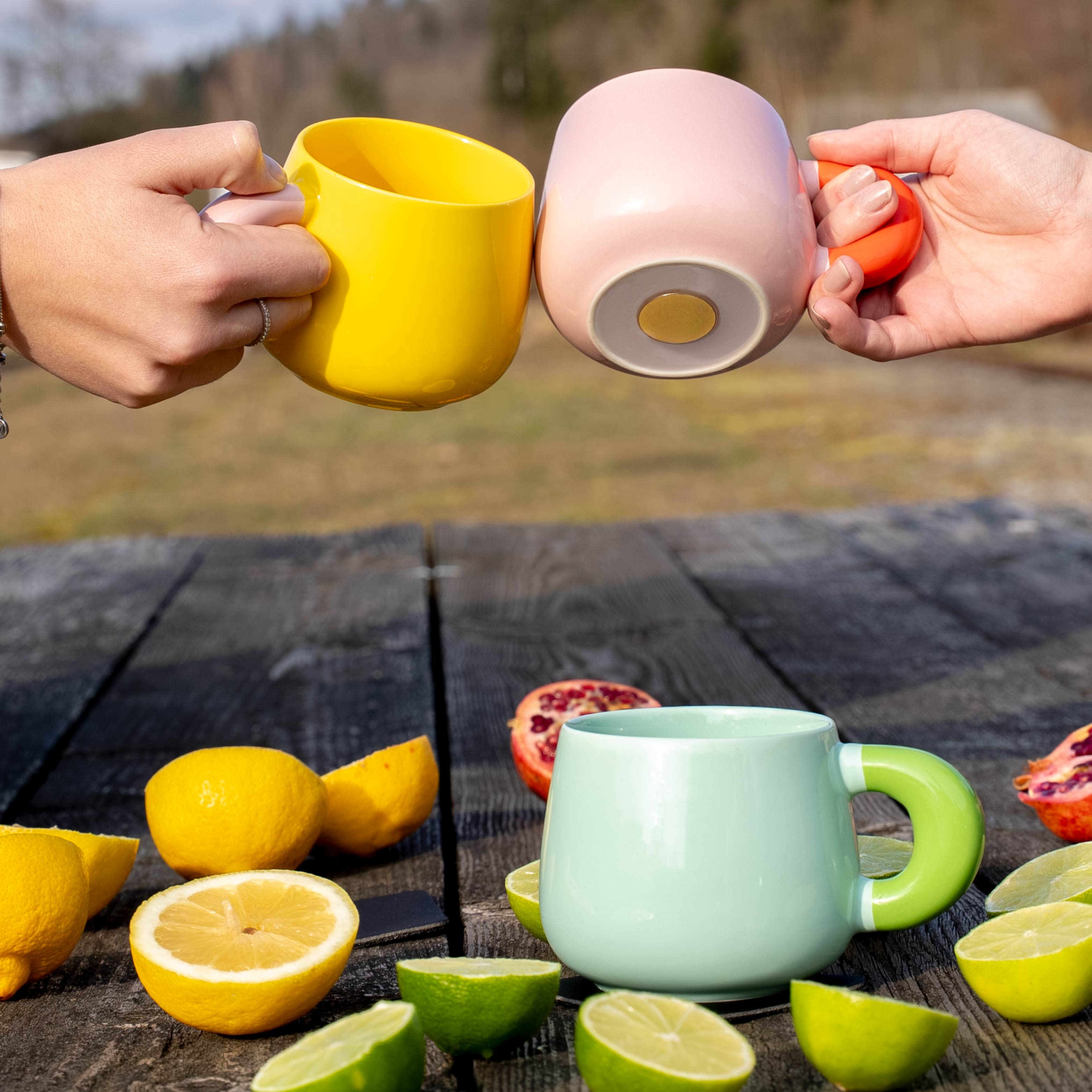 Magnet-Henkel-Potts Summer Sorbet