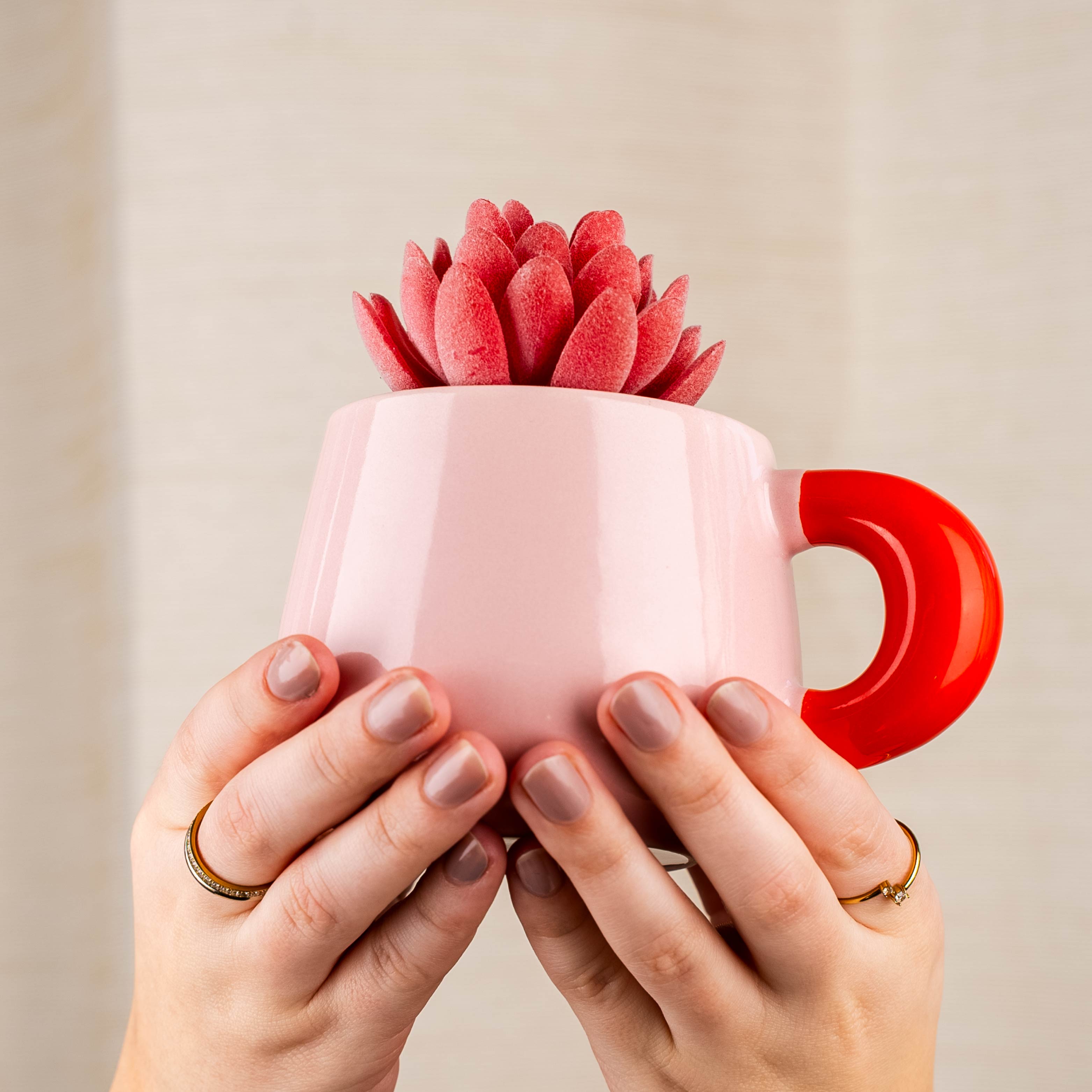 Magnet Henkel Pot ROSÉBLUSH