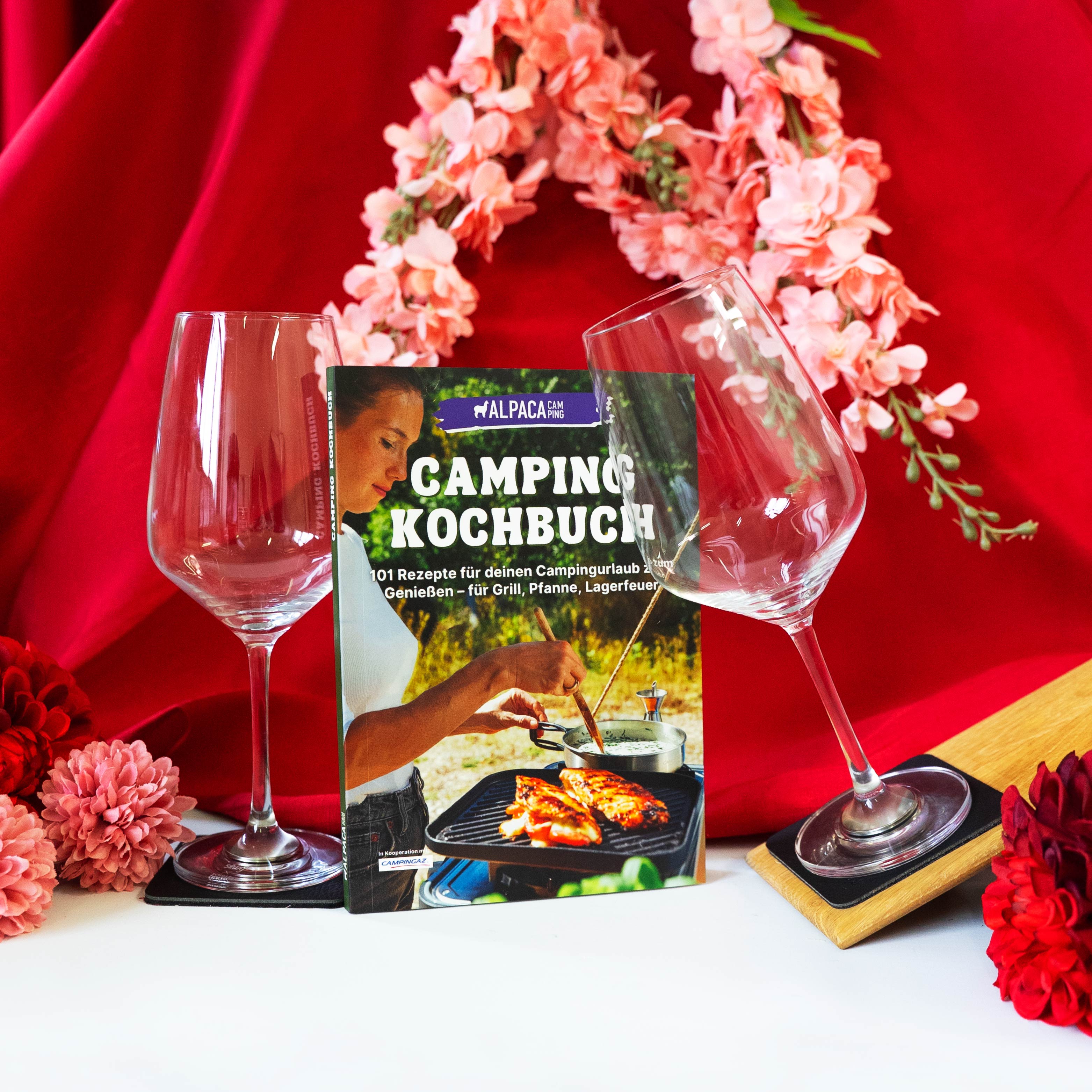 Verres à vin en cristal magnétique avec livre de cuisine de camping inclus